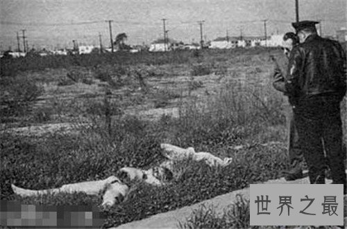 【图】黑色大丽花惨案惊动美国 没想到凶手竟然是他的