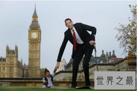 【图】最高的人是谁 只管个子很高然而这些弱点很致命