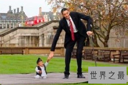 【图】最高的人是谁 只管个子很高然而这些弱点很致命