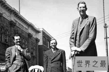 【图】最高的人是谁 只管个子很高然而这些弱点很致命