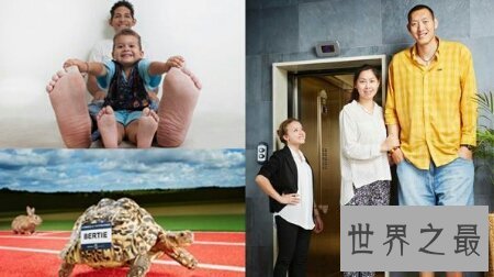 【图】世界吉尼斯纪录都有哪些光怪陆离的事件