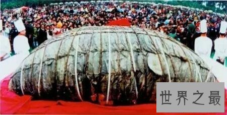 【图】世界吉尼斯纪录都有哪些光怪陆离的事件