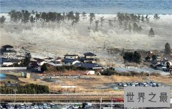 【图】印尼海啸死亡人数惨重 来临之前没有任何预兆