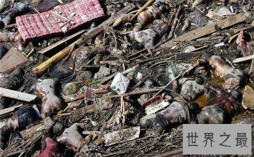 【图】印尼海啸死亡人数惨重 来临之前没有任何预兆