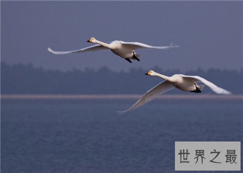 【图】双飞什么意思 一男两女的双飞性技巧引见