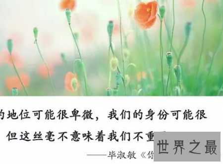 【图】好好爱本人你不是恋情的附属品学会爱本人