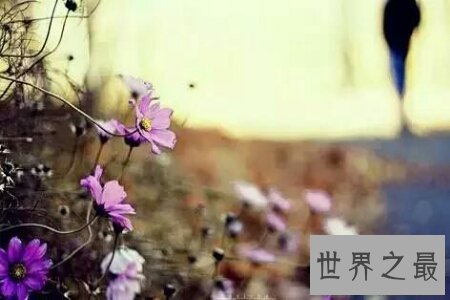 【图】不骄不躁是我国现代的一个四字成语 它的详细意