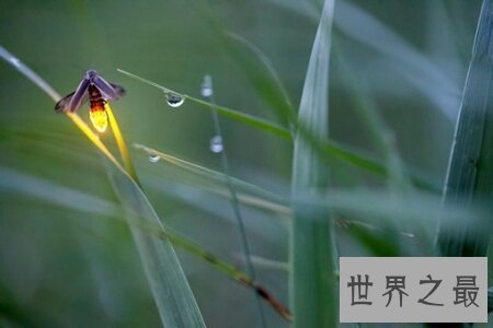 【图】不骄不躁是我国现代的一个四字成语 它的详细意