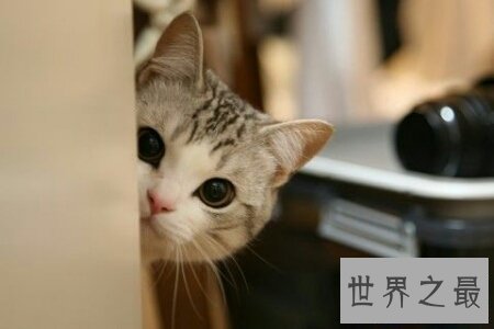 【图】不骄不躁是我国现代的一个四字成语 它的详细意