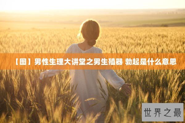 【图】男性生理大讲堂之男生殖器 勃起是什么意思