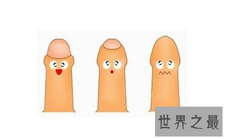 【图】男性生理大讲堂之男生殖器 勃起是什么意思