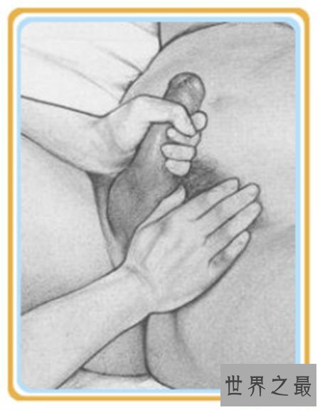 【图】男性生理大讲堂之男生殖器 勃起是什么意思