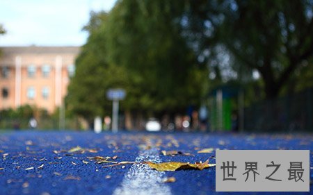 【图】天赋神童刘峻琳到底是怎样样的一集体