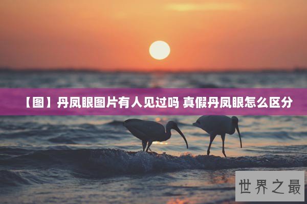 【图】丹凤眼图片有人见过吗 真假丹凤眼怎么区分