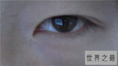 【图】丹凤眼图片有人见过吗 虚实丹凤眼怎样区分