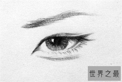 【图】丹凤眼图片有人见过吗 虚实丹凤眼怎样区分