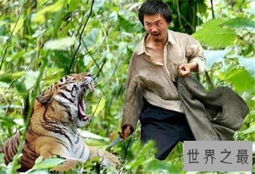 【图】老虎吃人切实视频发生在北京 而印度也曾发生过