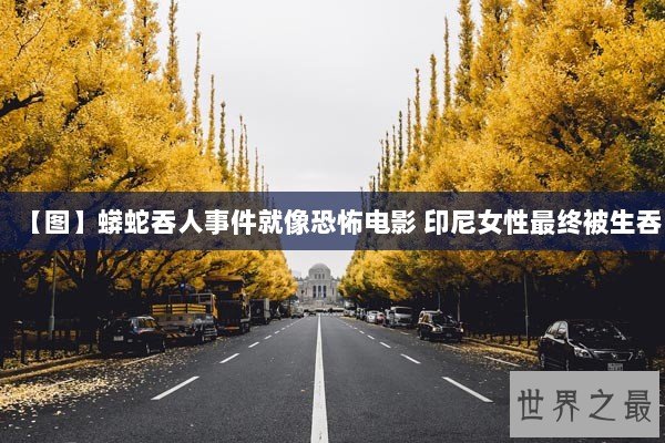 【图】蟒蛇吞人事件就像恐怖电影 印尼女性最终被生吞