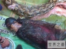 【图】蟒蛇吞人事件就像恐怖电影 印尼女性最终被生吞