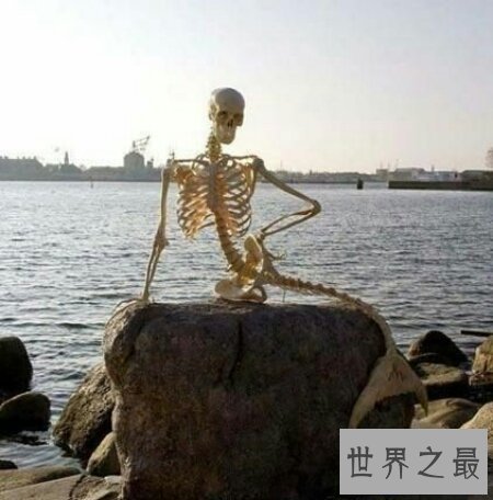 【图】看美人鱼图片会猎奇 世界上能否真的存在美人鱼