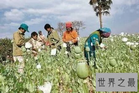 【图】号称金三角大毒枭曾经差点挑起渺小风波的魏学