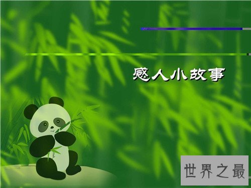 【图】切实感动的故事引见 钱学森想方设法回国感动众