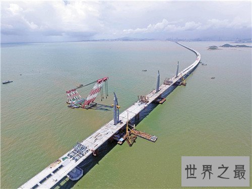 【图】珠港澳大桥死了多少人 为什么叫港珠澳大桥
