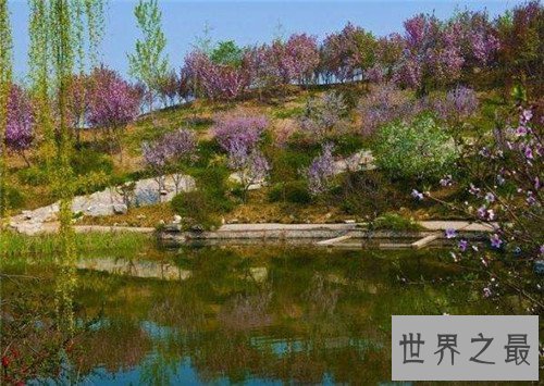 【图】石家庄植物园门票是多少 石家庄植物园开放工夫