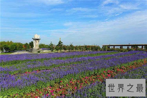 【图】石家庄植物园门票是多少 石家庄植物园开放工夫