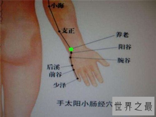 【图】养老穴的地位手法引见 为何养老穴真的能养老呢