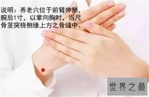【图】养老穴的地位手法引见 为何养老穴真的能养老呢