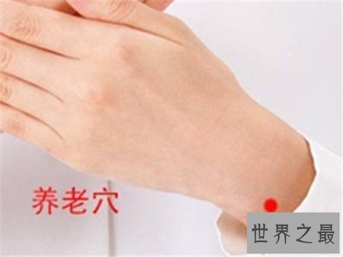 【图】养老穴的地位手法引见 为何养老穴真的能养老呢