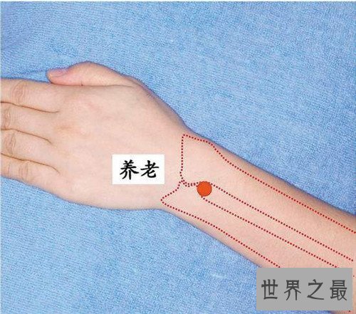 【图】养老穴的地位手法引见 为何养老穴真的能养老呢