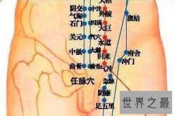 【图】腹股沟区平时不易引起重视 但是它的功能性却不