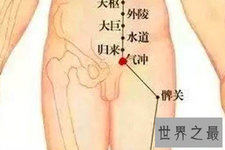 【图】腹股沟区往常不易惹起注重 然而它的性能性却不