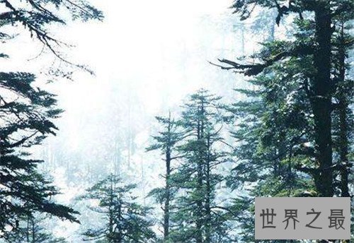 【图】瓦屋山迷魂凼在什么中央 常出现奇特事情令人惊