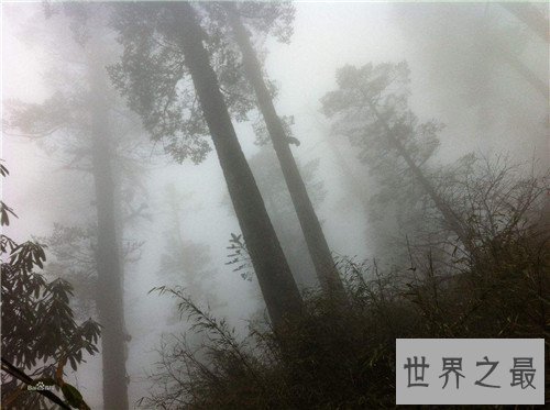 【图】瓦屋山迷魂凼在什么中央 常出现奇特事情令人惊