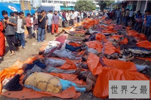 【图】印度洋海啸生还者自述 9.1级超级强震中国能感受