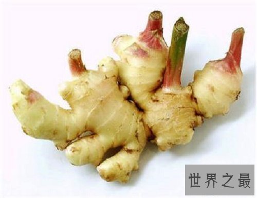 【图】生发小妙招，还在为由于本人长不进去的头发而