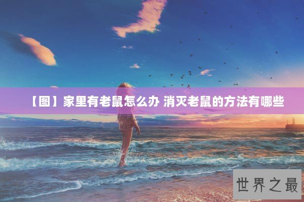 【图】家里有老鼠怎么办 消灭老鼠的方法有哪些