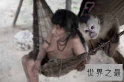 【图】一女多夫受到很大的追捧 经典h文千万不能错过