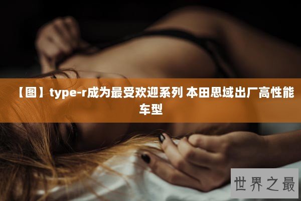 【图】type-r成为最受欢迎系列 本田思域出厂高性能车型