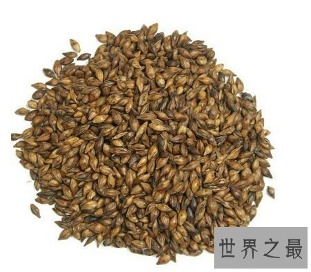 【图】炒谷芽是一道十分有名望的菜 你吃过吗