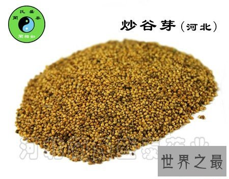 【图】炒谷芽是一道十分有名望的菜 你吃过吗