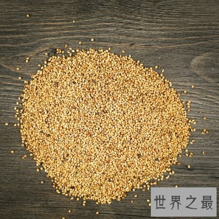 【图】炒谷芽是一道十分有名望的菜 你吃过吗