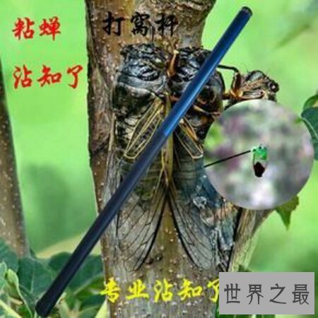 【图】粘杆处是血滴子的另一个称呼 杀人不眨眼