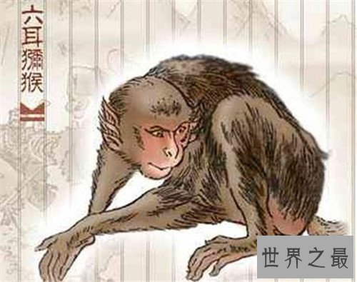 【图】六耳猕猴切实身份引见 为何他也有金箍棒