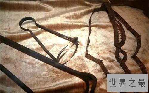 【图】乳房钳受刑过程图片引见 专门针对女性生殖器的