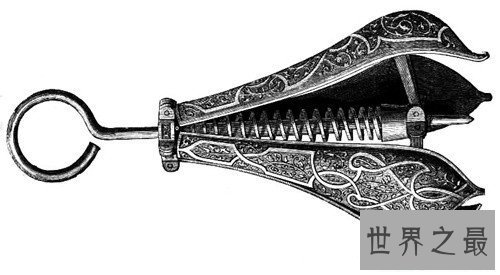 【图】乳房钳受刑过程图片引见 专门针对女性生殖器的