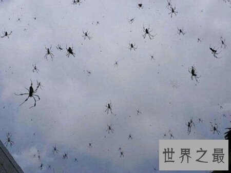 【图】怪雨真的会下那些动物吗 比酸雨还要更可怕吗